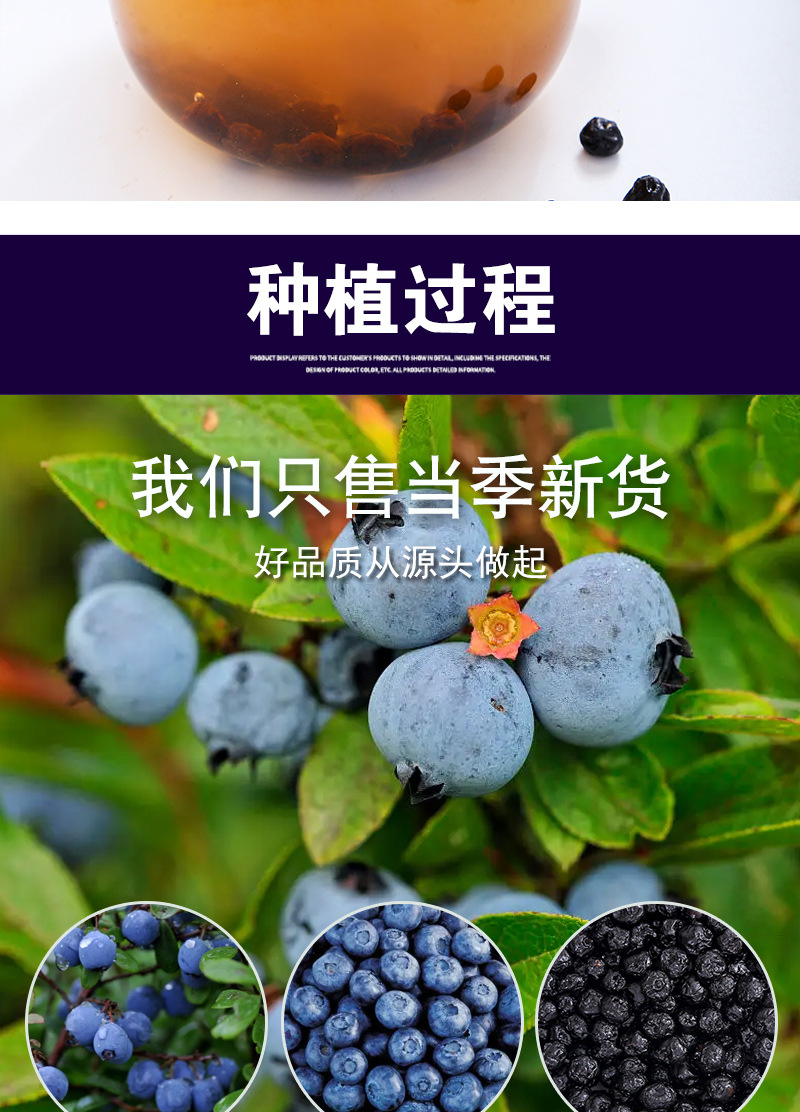 Dried Blueberry Fruit (Vaccinium spp.) — Large-Grade Preserved Berry Snack, 500g Bulk in use