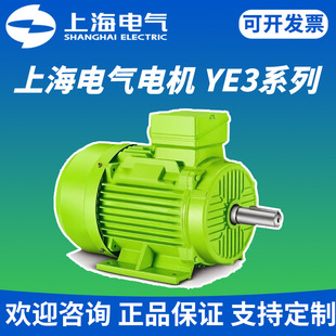 �Ϻ�늙C�SYE3-100L-2 3kW������ЧIE3��Ч����늙C��������fY2