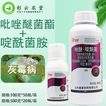 ����38%����������������Ѿ�������������ѻ�ù���������rș