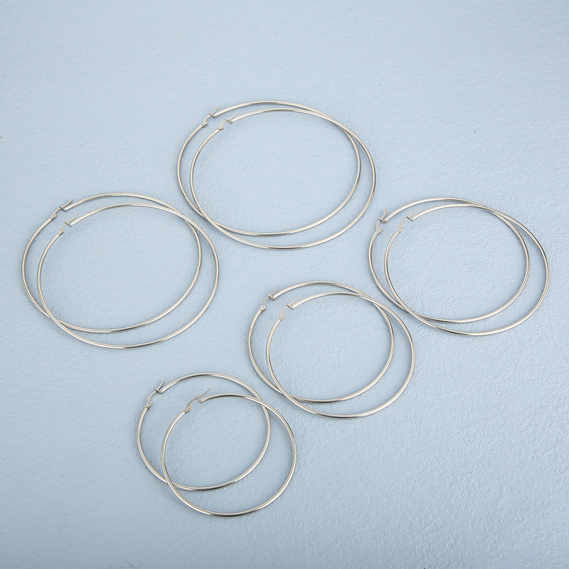 Simple Style Circle Stainless Steel Hoop Earrings Plating Metal Stainless Steel Earrings display picture 3