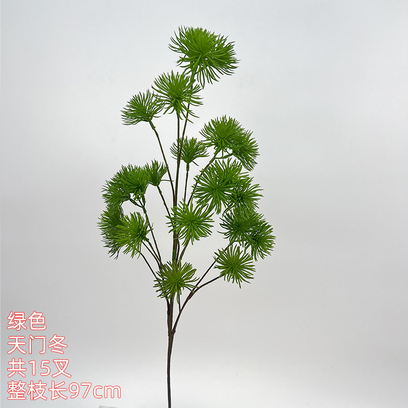 Asparagus - verde