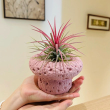 �՚��P���k��������Gֲ�҃�С����ֲ����B�ļ�������w��������