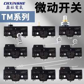 银点滚轮自复位触碰开关LXW5/Z-15GW22-B TM小型行程限位微动开关