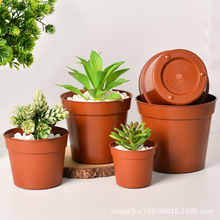 ���ϻ����̨�N�����ԾGֲ���⻨��������ظ���Ӻ��̖�Nֲ����