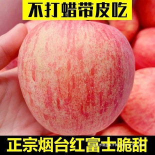 �������l-��̨�t��ʿ�O�����ˮ�����r����ϼ�Fժ���bɽ�|���]