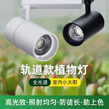 LEDֲ���a���ȫ���V��̫ꖹ���������҃�����ֲ������L܉����