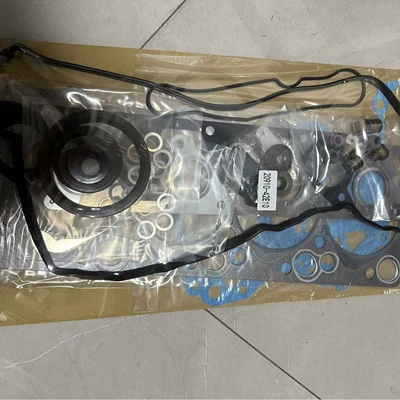 Cylinder and parts Engine Gasket