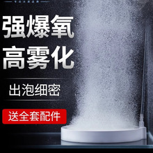 �F���{�ך�P����Ú���ʯ��Pʯ�������ʯ�~������������O��