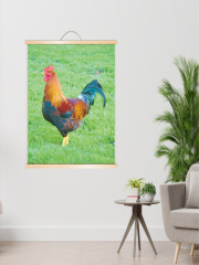 5ZV7 wholesale rooster painting animal poster golden rooster heralding dawn hanging scroll for feng shui decoration wooden frame
