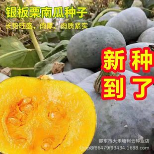 �y�������ϹϷN���½��F���Ƥ�ϹϷN���ļ��߲˹ϷNؐؐ�����Ϲ�