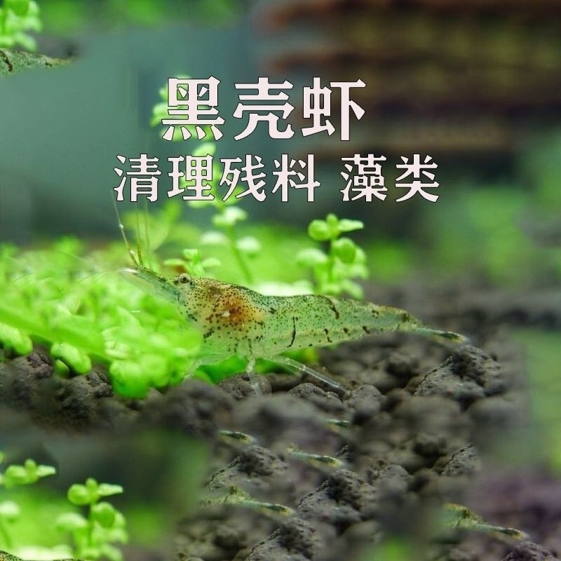 7676e1c4-8c67-4301-8ee2-7a021d337d46.jpe