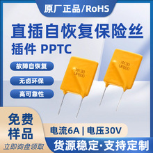 �������˿pptc30V6A6000mAֱ���Իָ�����˿RUEF600 X30UF600