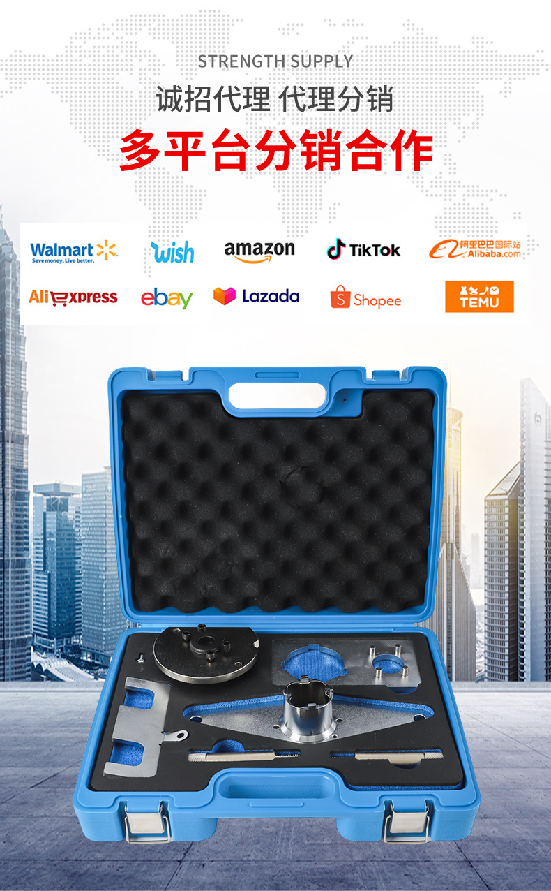 New Model Land Rover Evoque Chery Jaguar 2.0t 14 2.0L Engine Timing Tool High-Pressure Oil Pump Tool