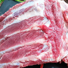新鮮多肉純肋排豬排農家土豬批發肋排新鮮多肉純肋排餐飲生鮮豬肉