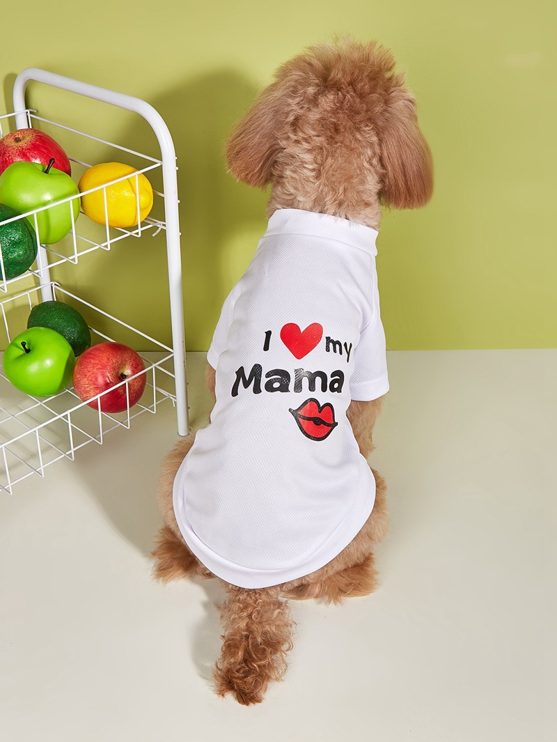 Simple Style Polyester Letter Heart Shape Pet Clothing display picture 2