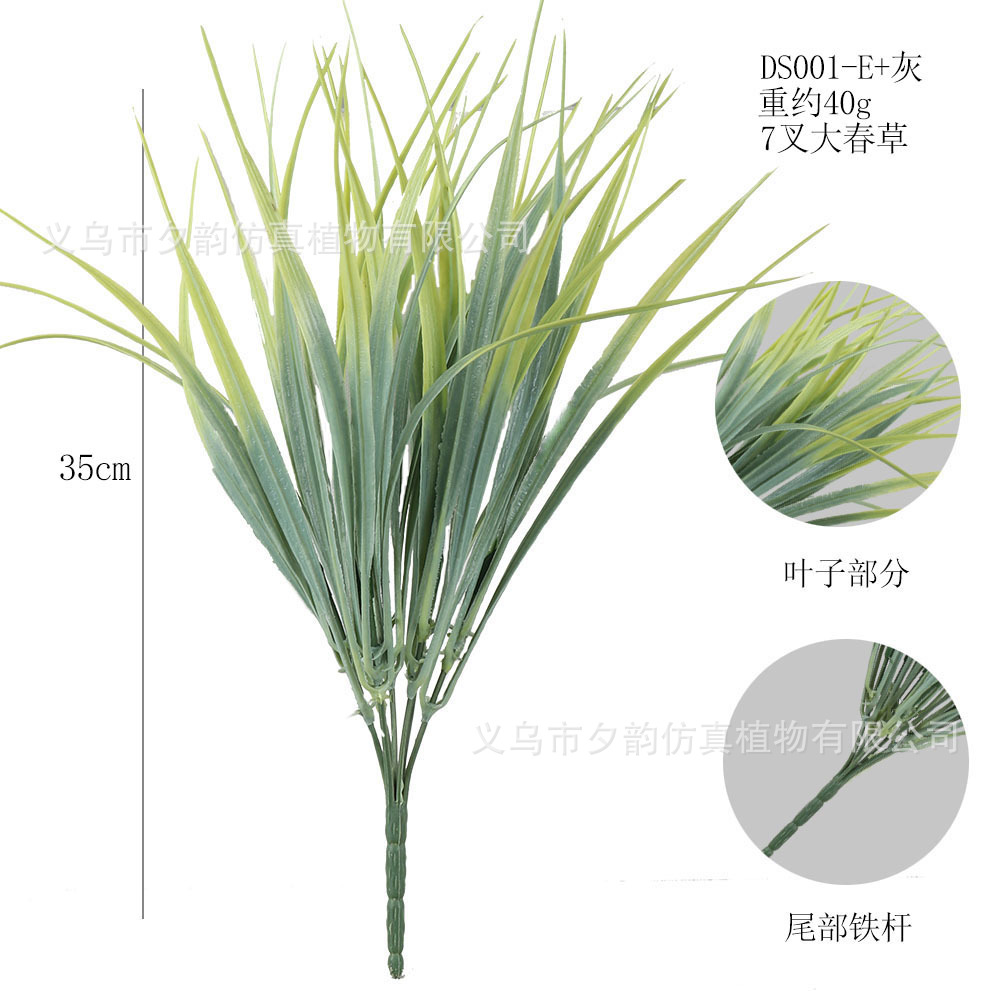 DS001-회색 녹색 7갈래 봄풀