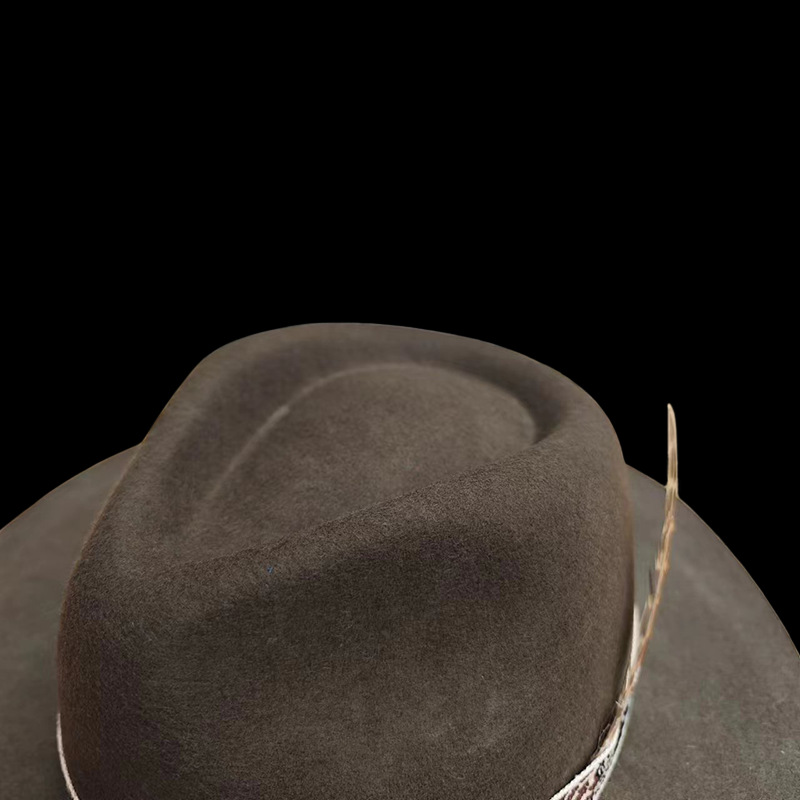 Fashion hat, solid color with feather decoration, wool felt top hat_voghion.com