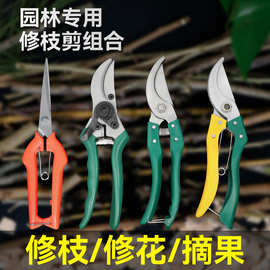 厂家批发果枝剪花剪园艺剪园林工具剪树枝用粗支剪刀省力修枝剪刀