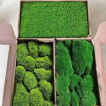 ̦\Ʒװl\\҃쾰bGֲ̦\