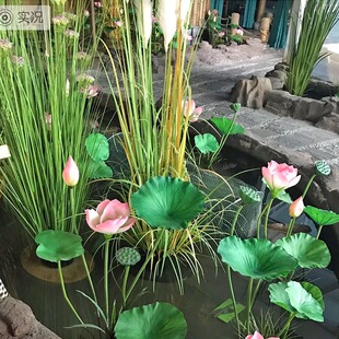 ����ɻ����滨���~�ߙn�ٻ�ˮ���b����ϻ��~��ɏ�����^�����쾰