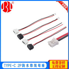 源工場TYPE-C 2p ipx 5防水線付き母座注入直圧式ph2.0端子付き