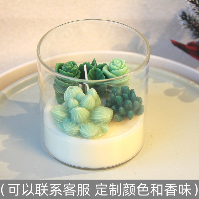 Transfronteriza ins suculenta planta en maceta cactus aromaterapia vela cera de soja decoración de vidrio para novias y amigos