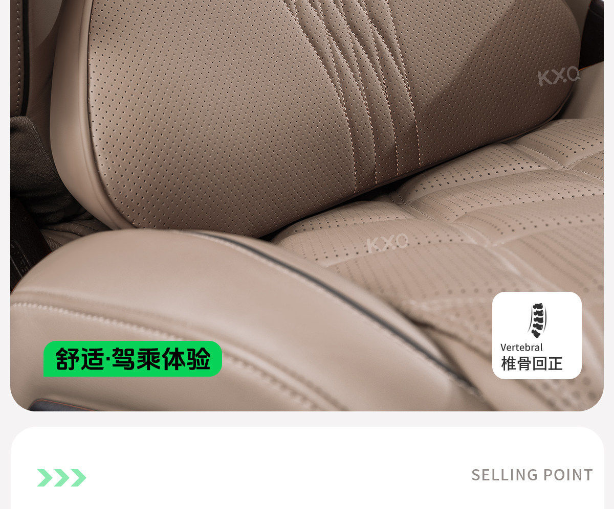 Byd Dolphin Seal Qin Plus Han Song Pro Yuan Plus Car Lumbar Support Cushion Car Seat Lumbar Pad