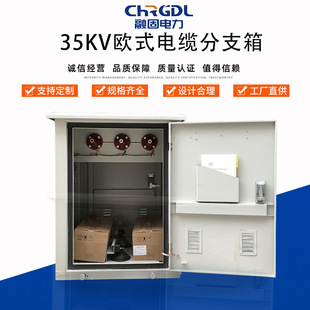 Manufacturers supply complete equipment stainless steel insulated power distribution box 35KV European high voltage cable branch box