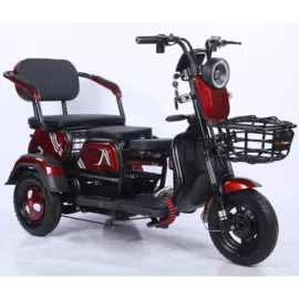 电动三轮车;两轮摩托车;电动摩托车