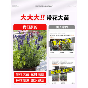 ޹�²����Ԏ������ֲ�������m������N�ļ��_���B���ܾW�t�ݾGֲ