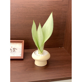 ����Ƥ�m��ɫС�w���豱�W�L�Gֲ����ֲ�������k�����ӻ�ӶYƷ