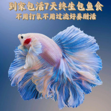 ̩�����~�^�p�~��Ꭷ��ˮ���~���B�ͻ��wС���~�׾W�t����鼆�~