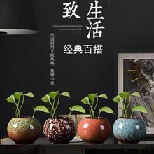 2陶瓷窑变水培小花盆无孔铜钱草花器水养绿萝花瓶清仓插花容器桌