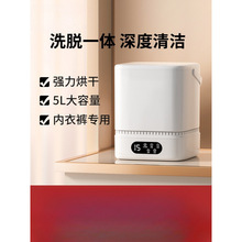 内裤洗衣机内衣裤小型迷你洗脱一体全洗袜机自动清洗袜子批发