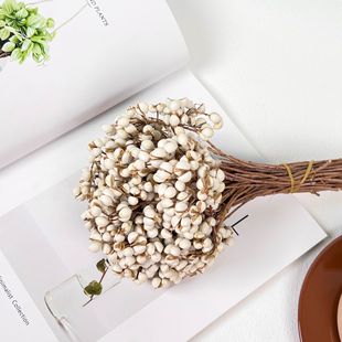 С�׹��ɻ� ��Ȼ�L��޲�׹�������׹����Ĳ���diy�ɻ��������l