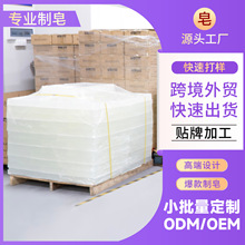 ͸��������ɫ����ֲ�ﾫ��Ҭ�����ֹ���diy���Ʒԭ�����l����