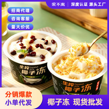 果不离椰子冻220g生榨椰子果冻厂家代发红豆/椰粒果冻批发