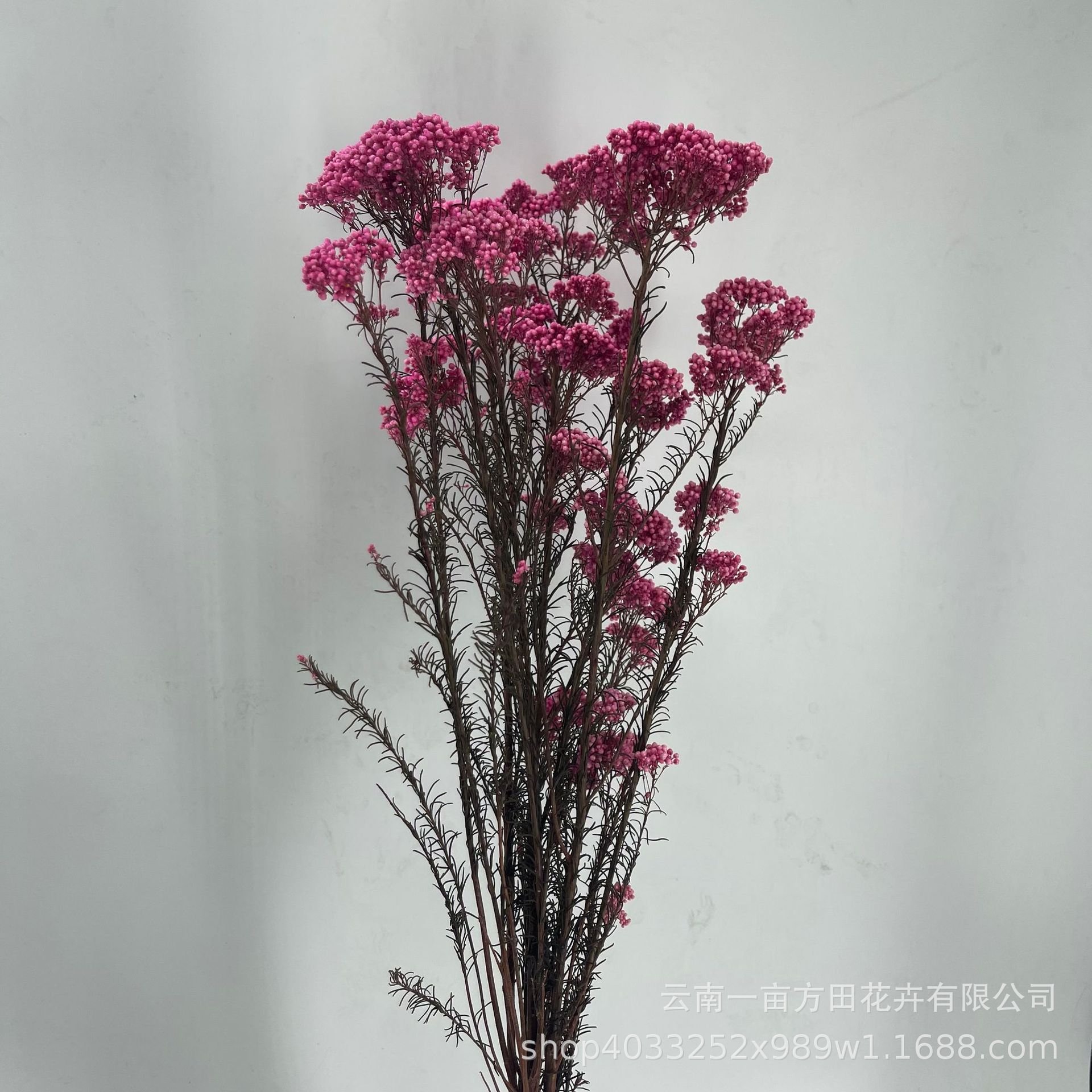 18b33b19179423d57d17278f087d80