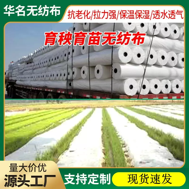 厂家供应 水稻育秧无纺布抗老化pp无纺布 保湿透气农用覆盖育苗布