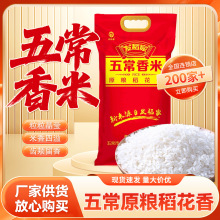 �l�����峣���ז|������20����b���׬F؛���l�������׼�������