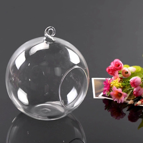 Микро-ландшафтный экологический контейнер для изготовления бутылок Мох DIY стеклянная бутылка мясистая Плоская Круглая подвесная бутылка с железной стойкой для бутылок