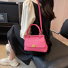 Summer trend shoulder bag, one-shoulder bag, french style, 2023, Korean style