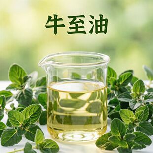 ţ���� Oregano Oil CAS8007-11-2 ���۷Ӹߺ���ţ�������ջ����
