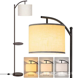 落地灯;装饰台灯;室内壁灯