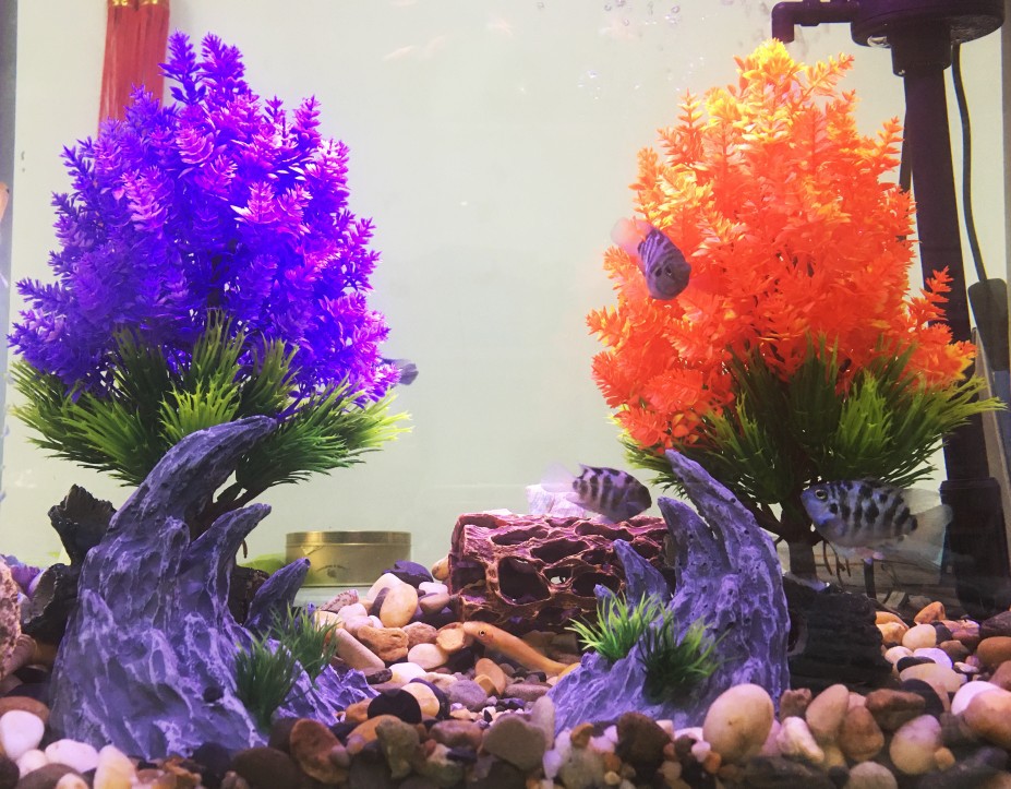 微信图片_20220727101