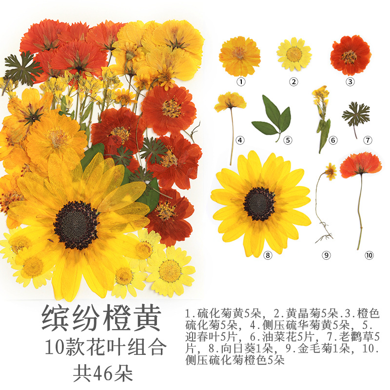 다채로운 오렌지 옐로우