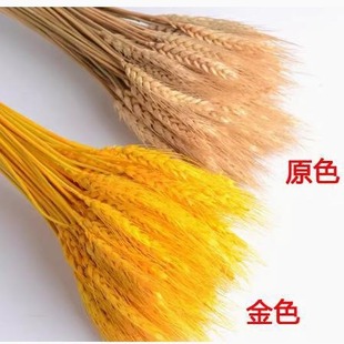 ���S������Ȼ�ɻ�С����͏d��@�µ��_�I��Ȼ�[���ͶY�b���