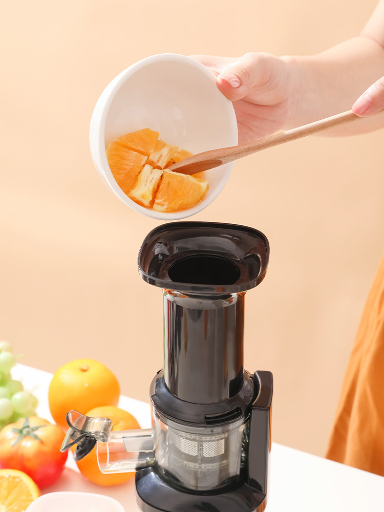 Juicer Image 2