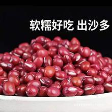 红豆  当季精选品质红豆 奶茶蜜豆原料圆粒红小豆沙馅红豆冰粉专
