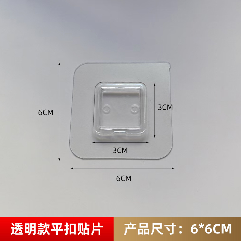 투명한 6*6 편평한 버클 3/3